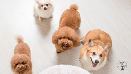 飞机聊天安全吗
